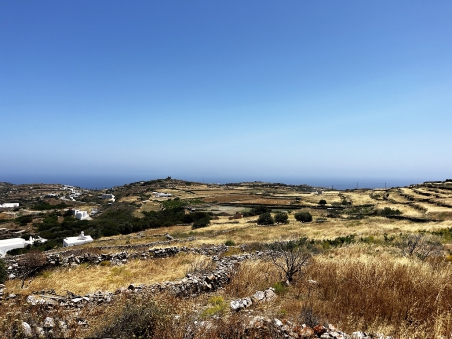 (For Sale) Land Agricultural Land  || Cyclades/Sifnos - 4.014 Sq.m, 250.000€ 