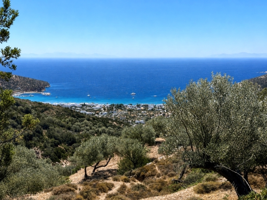 (For Sale) Land Agricultural Land  || Cyclades/Sifnos - 3.700 Sq.m, 60.000€ 