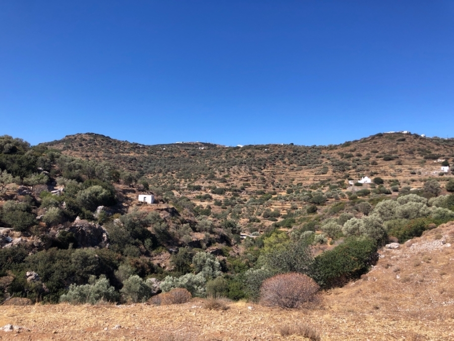 (En vente) Valorisation de la Terre Lopin de terre || Cyclades/Sifnos - 6.700 M2, 150.000€ 