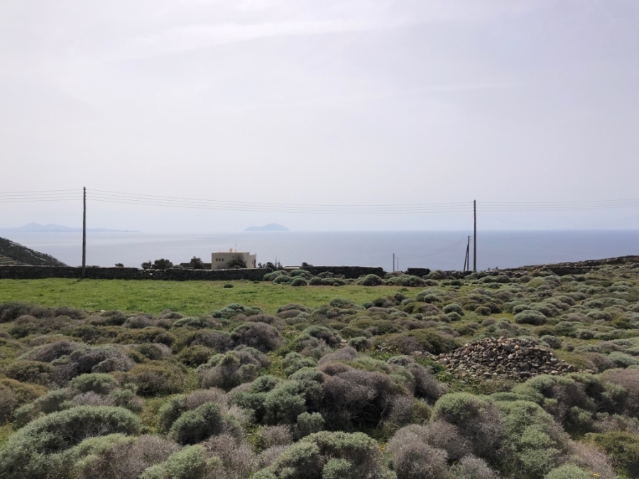 (En vente) Valorisation de la Terre Lopin de terre || Cyclades/Sifnos - 6.000 M2, 250.000€ 