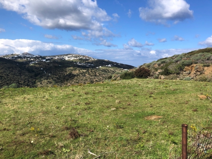 (For Sale) Land Agricultural Land  || Cyclades/Sifnos - 6.000 Sq.m, 180.000€ 